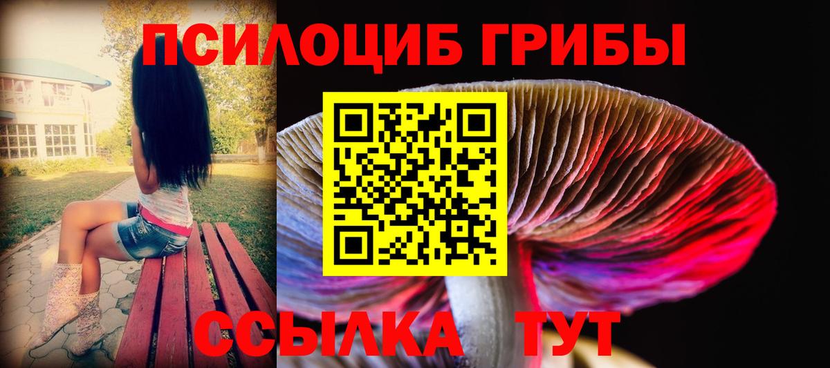 Псилоцибиновые грибы Psilocybe Чебаркуль