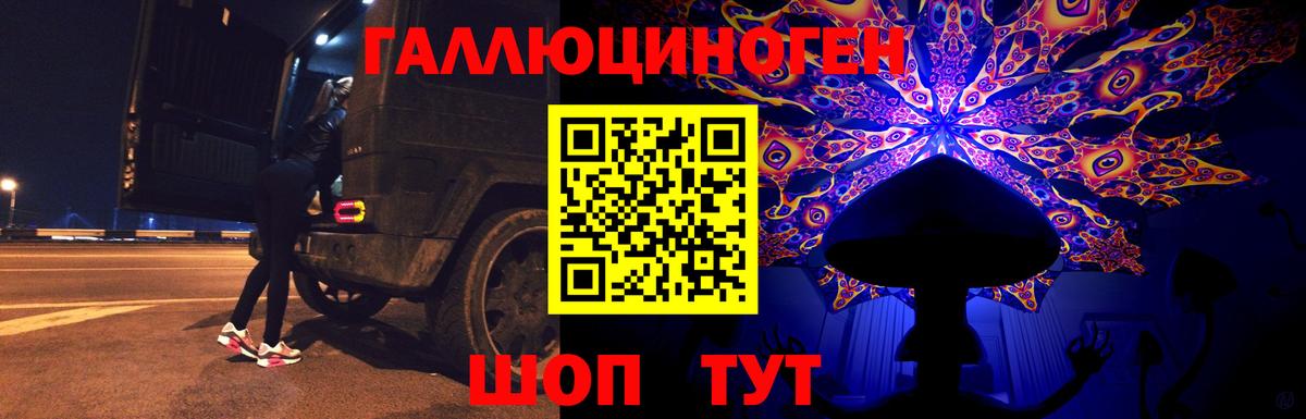Чебаркуль  где купить наркотик  Вход с VPN  Галлюциногенные грибы мухоморы 